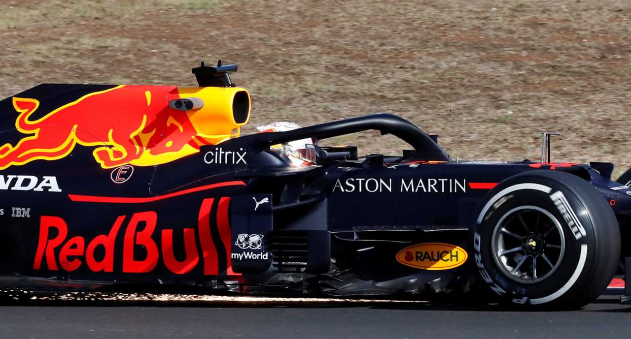 Who owns the Red Bull F1 Team?