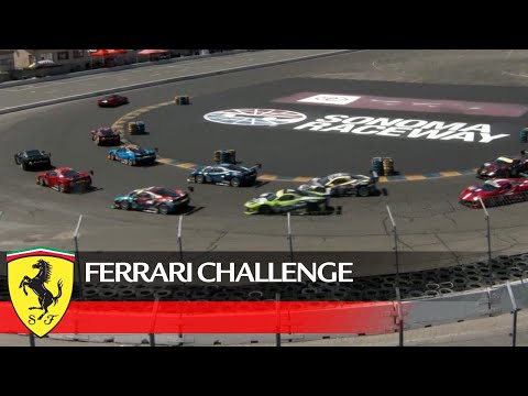 Ferrari Challenge North America – Sonoma 2021, Coppa Shell Race 2