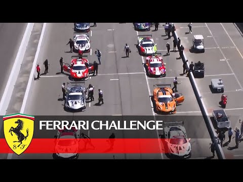 Ferrari Challenge North America – Sonoma 2021, Trofeo Pirelli Race 2