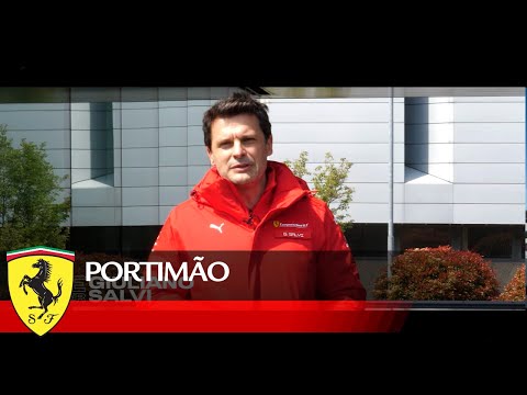 Race Engineer: Giuliano Salvi
