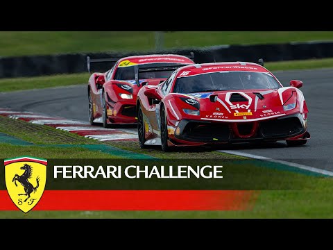 Ferrari Challenge UK: Snetterton Race 2 Highlights