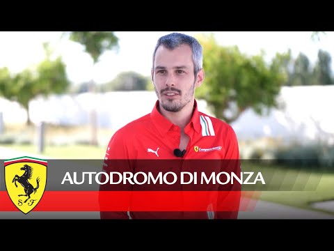 Race Engineer: Andrea Borelli