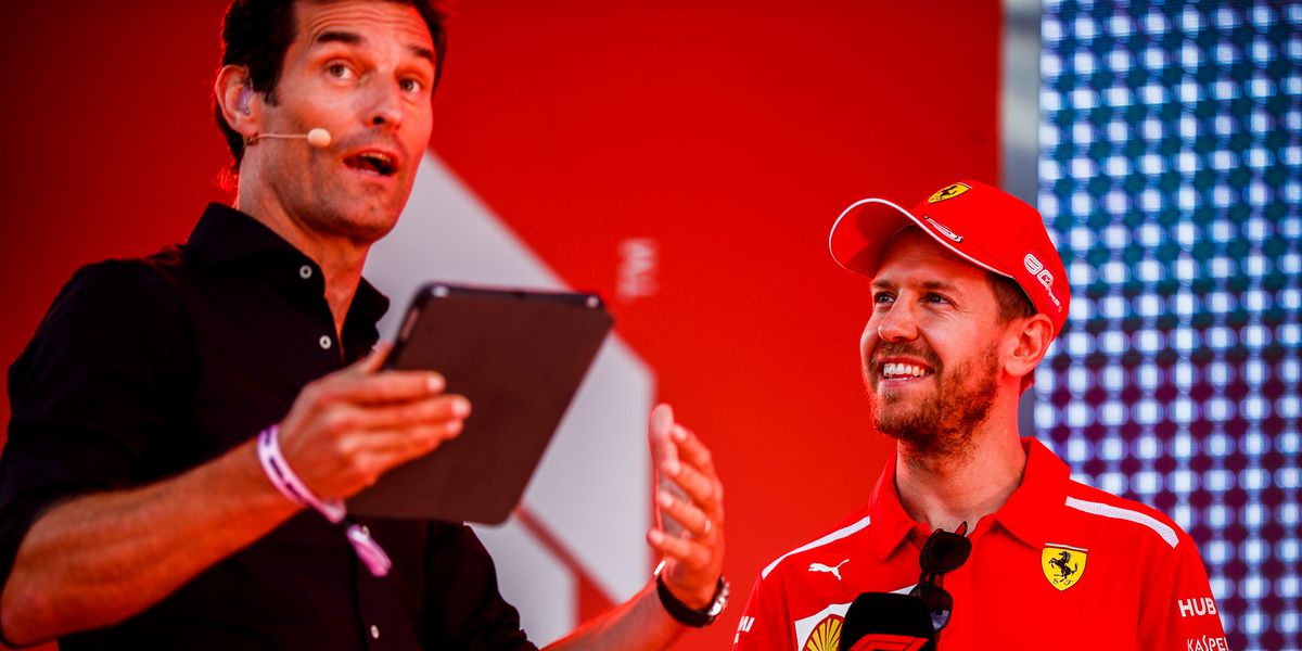Mark Webber says former Red Bull F1 team-mate Sebastian Vettel is at the crossroads of his career