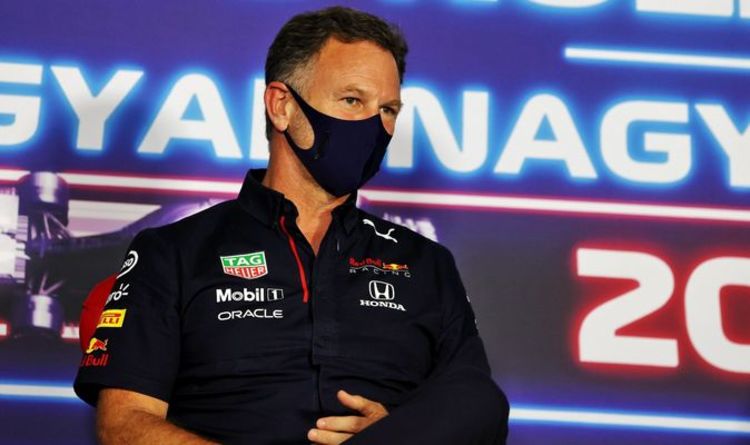 F1 News: Christian Horner praises Lewis Hamilton after Red Bull protest |  F1 |  Sports