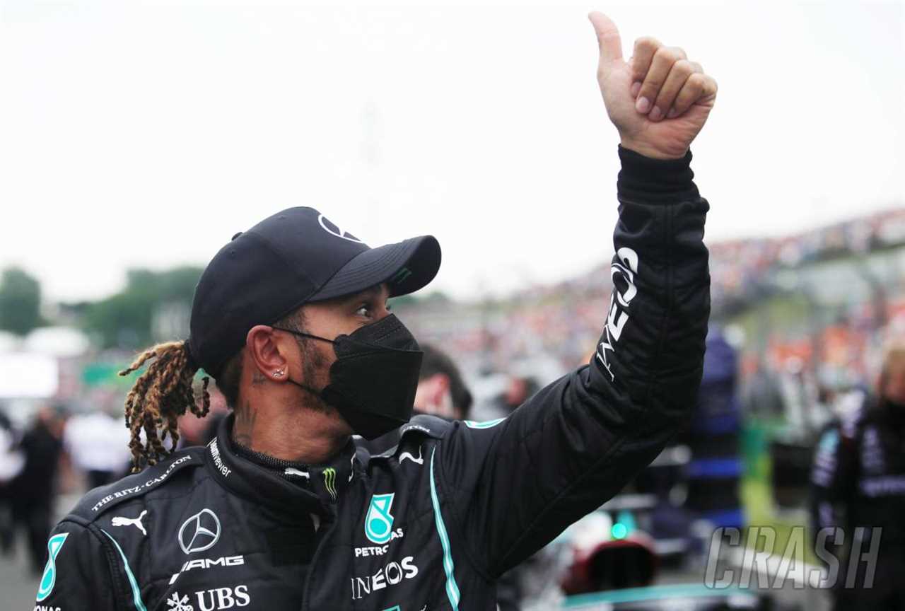 Hamilton's F1 World Championship lead was extended after the mistake in the Hungary results