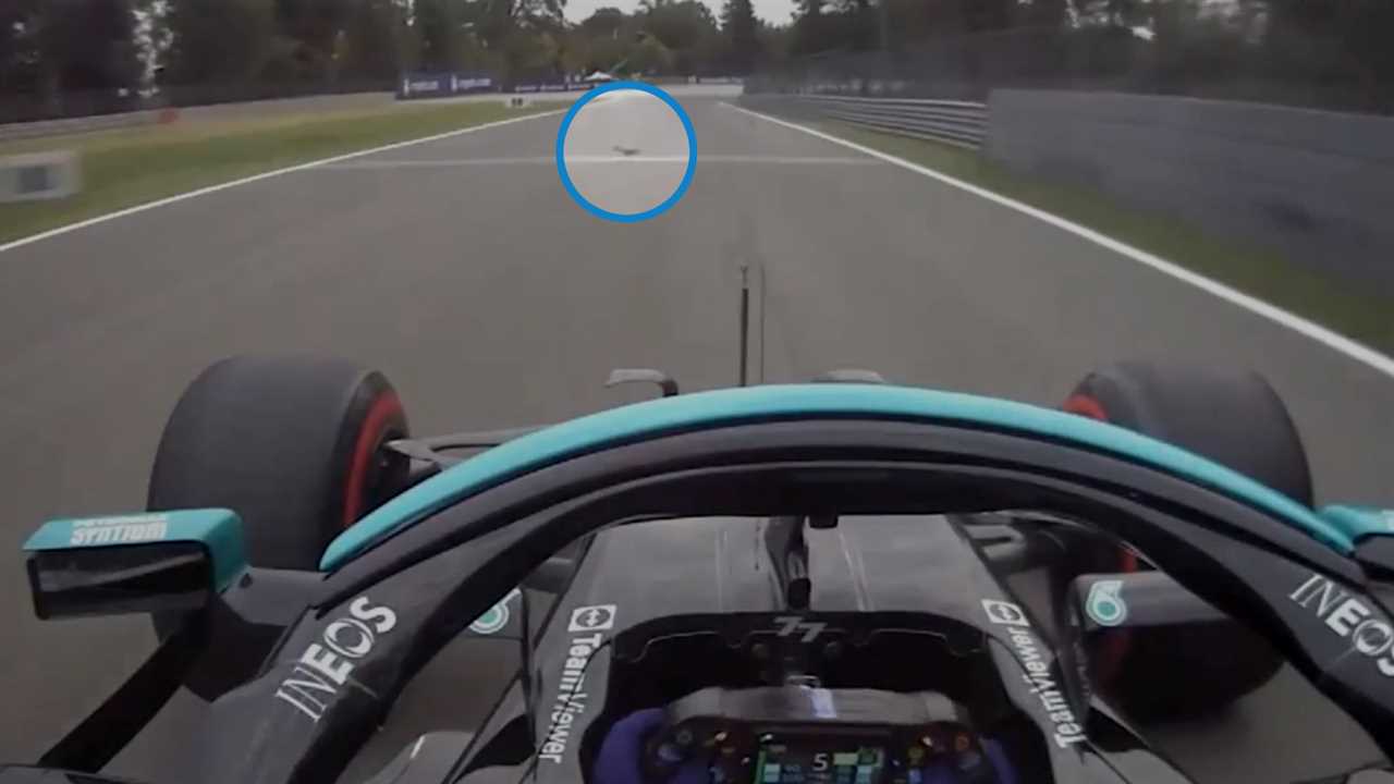 Bottas said he "ran over a squirrel" on the way to pole position · RaceFans