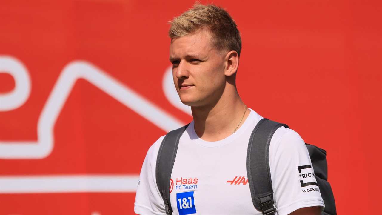 Mick Schumacher could become a victim of 'brutal and cold' F1