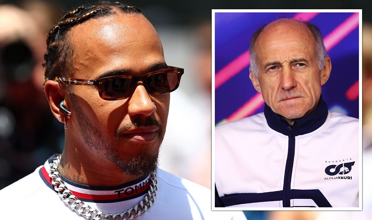 Lewis Hamilton told to 'stay at home' ahead of Canadian Grand Prix after moaning about car |  F1 |  Sports