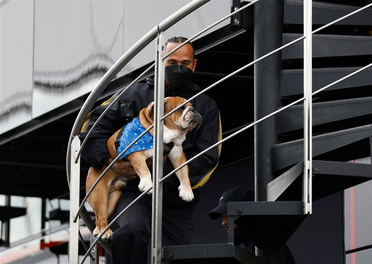 “The Greatest Formula 1 Innovation Of The Last 15 Years”: Roscoe Wins Hearts As Lewis Hamilton & His Furbaby Finally Share $400 Experience With the World