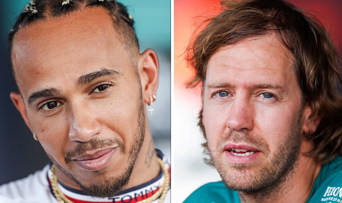 Martin Brundle backs Lewis Hamilton's Mercedes replacement for Sebastian Vettel's seat |  F1 |  Sports