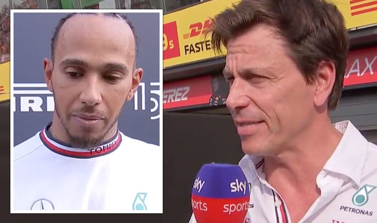 Toto Wolff demands investigation after Lewis Hamilton denied potential first win |  F1 |  Sports