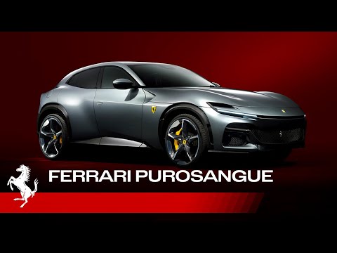 Introducing the new Ferrari Purosangue