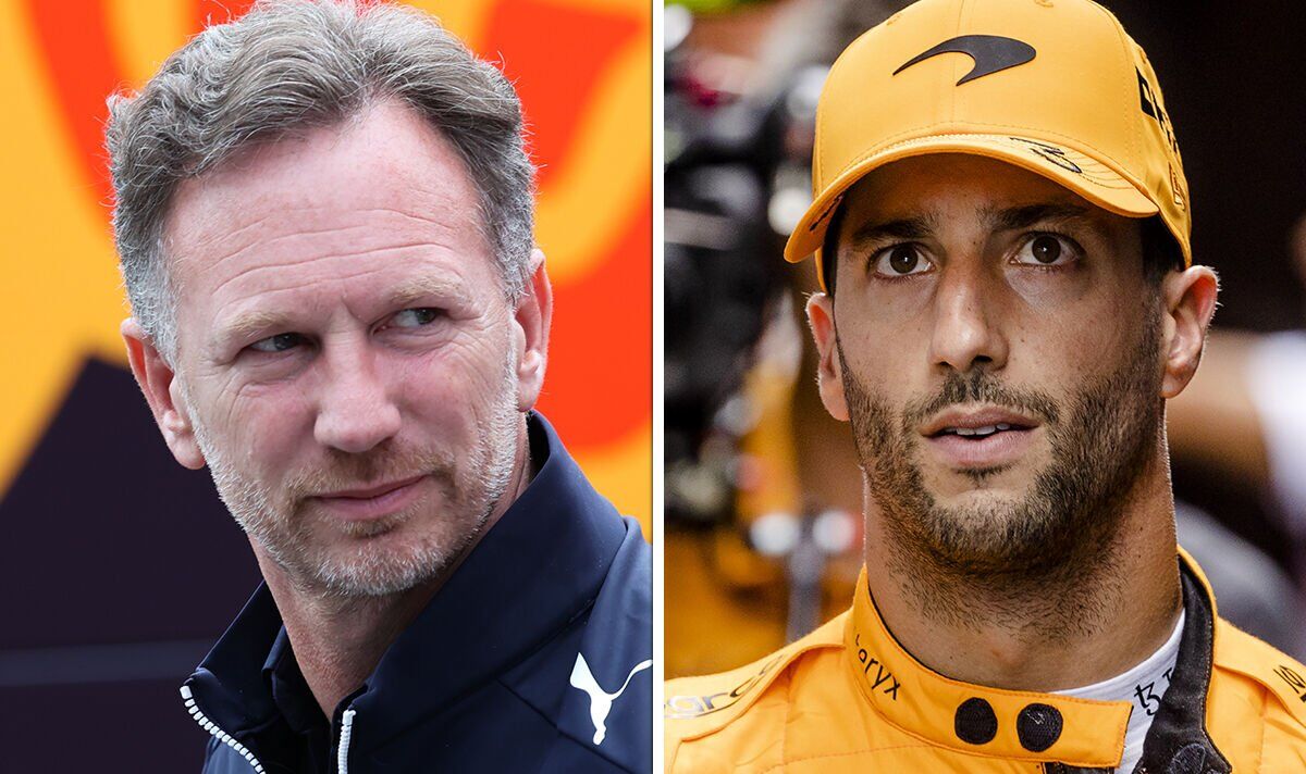 Christian Horner gives Daniel Ricciardo advice as Lewis Hamilton reserve role touted |  F1 |  Sports