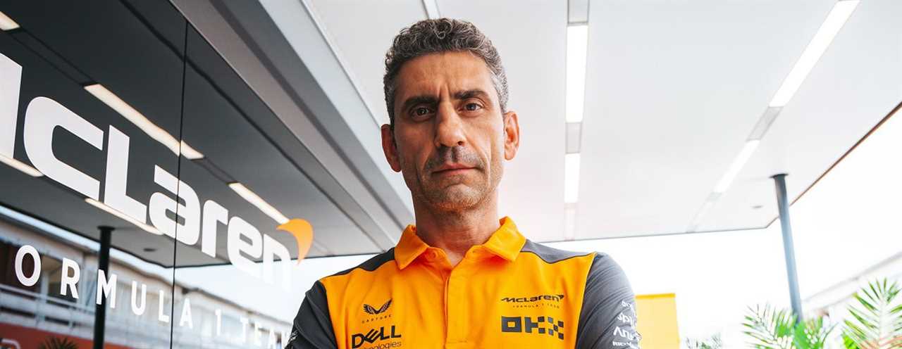 Who is our new Team Principal, Andrea Stella?