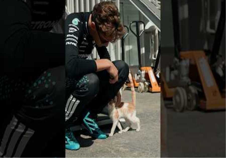 Meowcedes and George make an iconic duo 🐈 #f1 #formula1 #mercedesf1