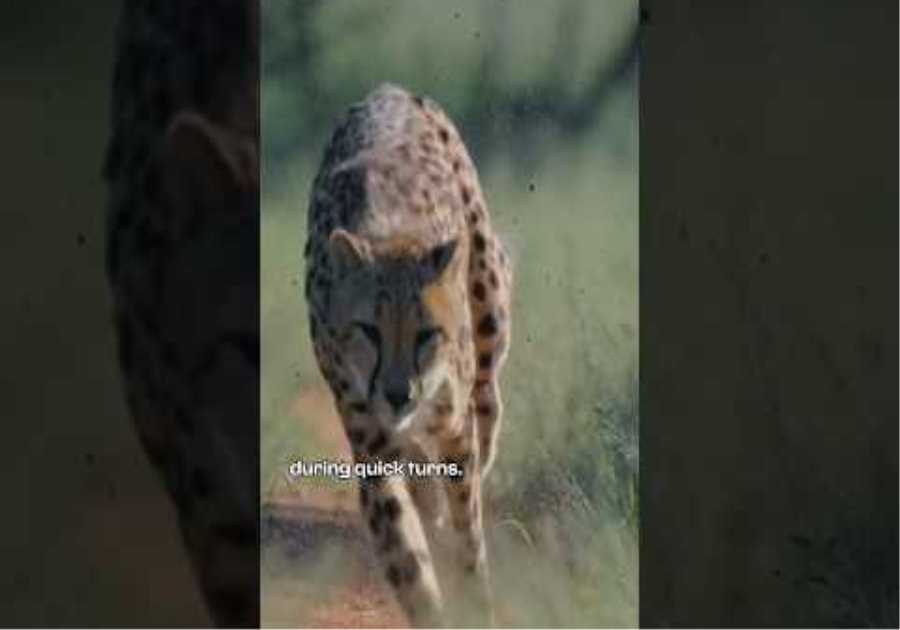 The first episode of our new series #FerrariUnpacked is out soon. Stay tuned. #Ferrari