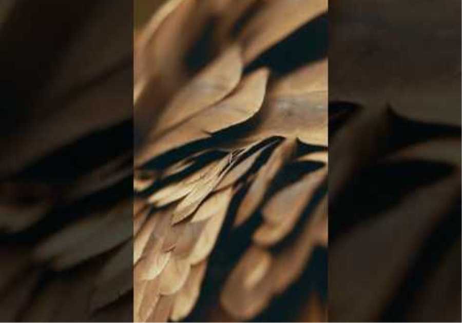 Stay tuned. Episode 2 of #FerrariUnpacked drops tomorrow. #Ferrari