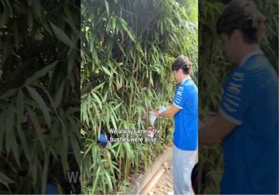 When you’ve been preparing for the Super Bowl for 5 months ✌️ #F1 #F1Shorts