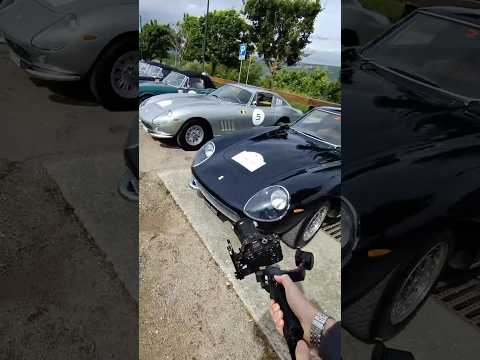 PoV: Living day 1 of #FerrariLegacyTour 👀 #Ferrari275GTB #Ferrari275GTS #Ferrari275GTB4 #Ferrari