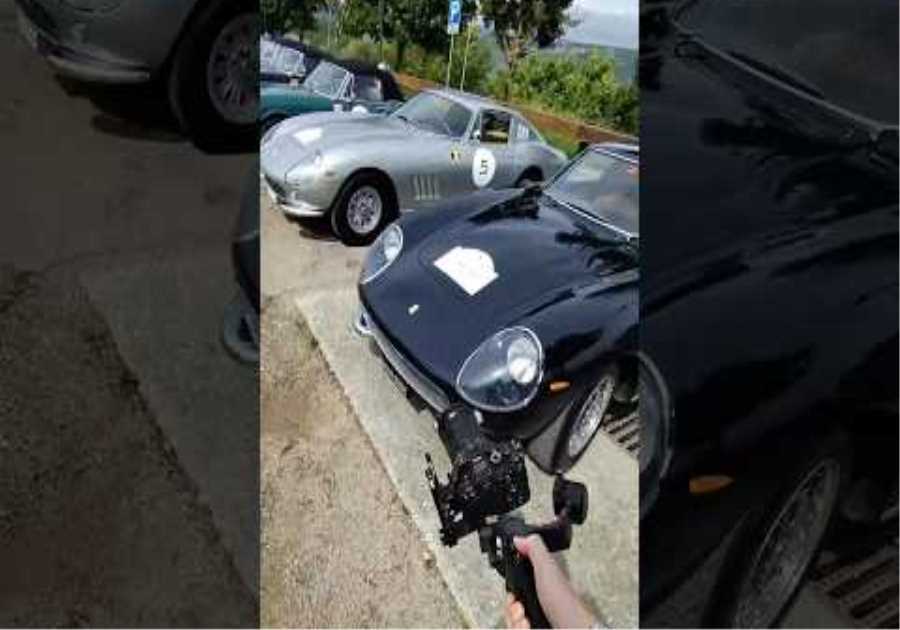 PoV: Living day 1 of #FerrariLegacyTour 👀 #Ferrari275GTB #Ferrari275GTS #Ferrari275GTB4 #Ferrari